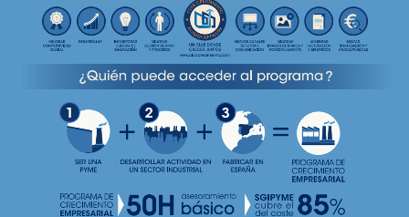 Ayudas en asesoramiento para el crecimiento empresarial de las pymes