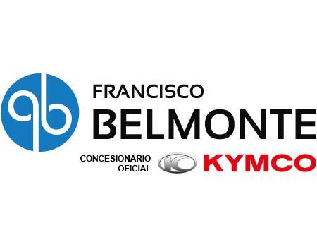 FRANCISCO BELMONTE S.A.