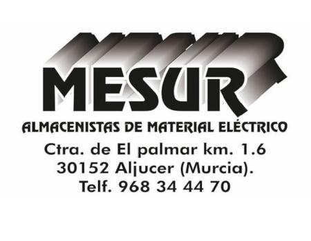  Asociación Almacenes de Material Eléctrico de Murcia (ARAMEMUR)